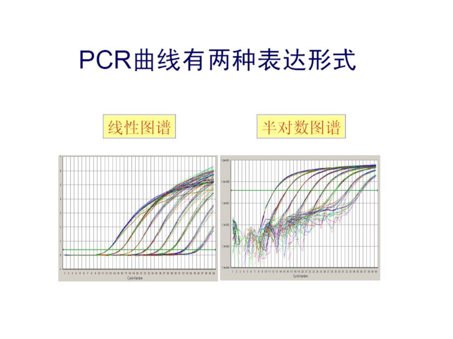 荧光定量PCR的数学原理_第1页
