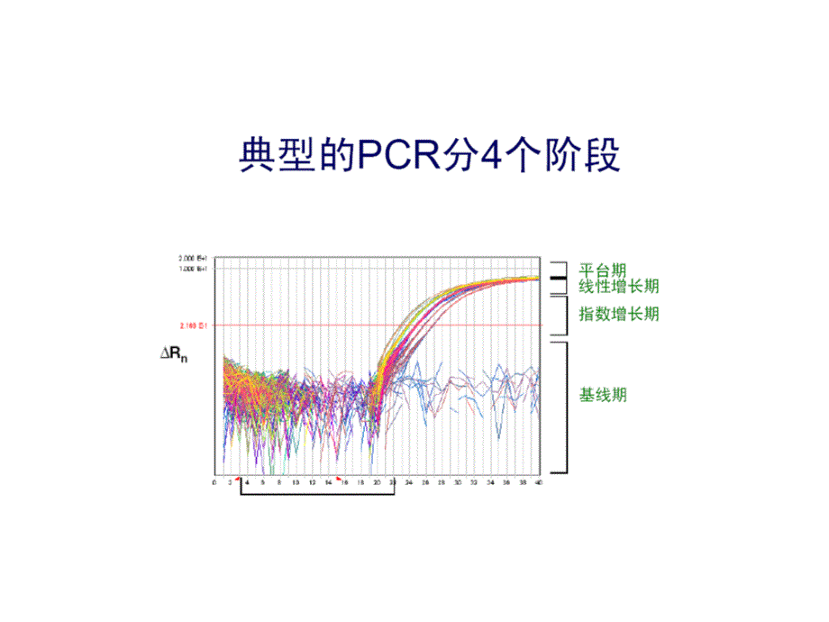 荧光定量PCR的数学原理_第2页