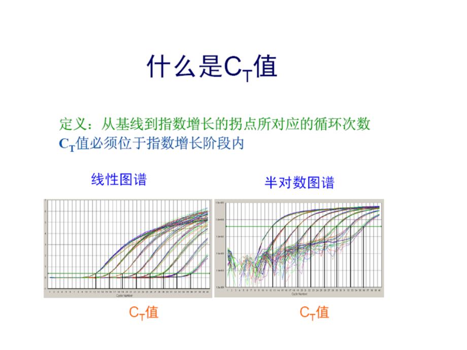 荧光定量PCR的数学原理_第4页