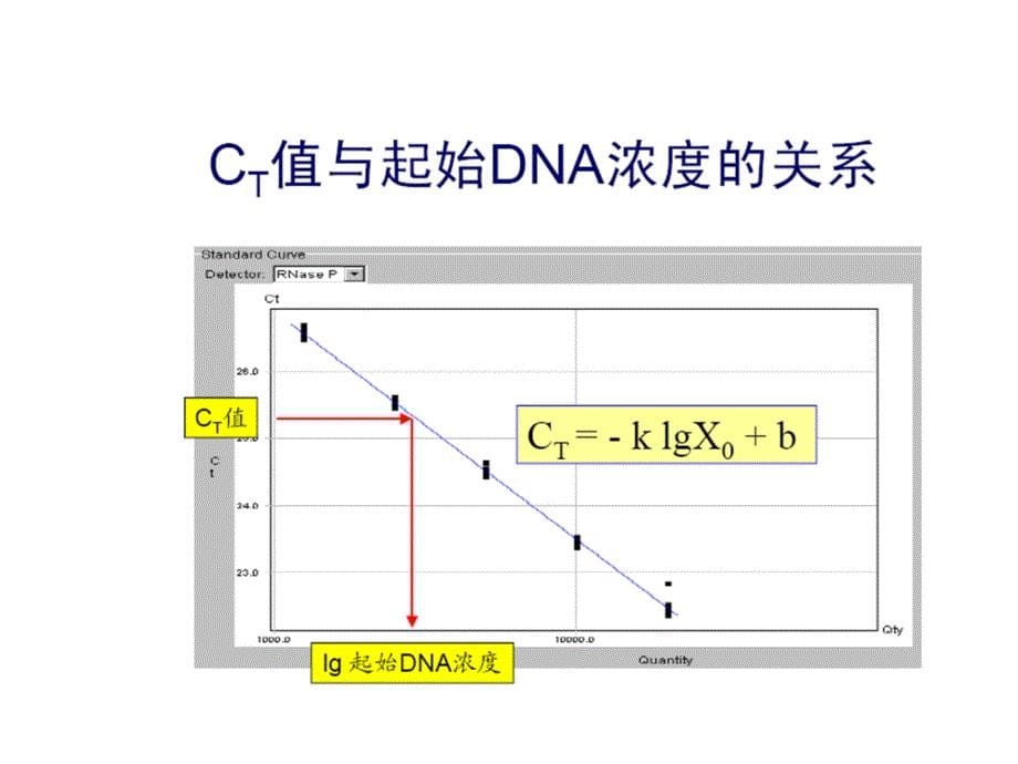荧光定量PCR的数学原理_第5页