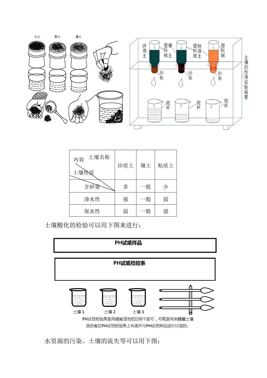 “节约粮食从我做起”你觉得怎样3_第5页