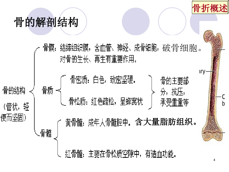 44章 骨折病人的护理1_第4页