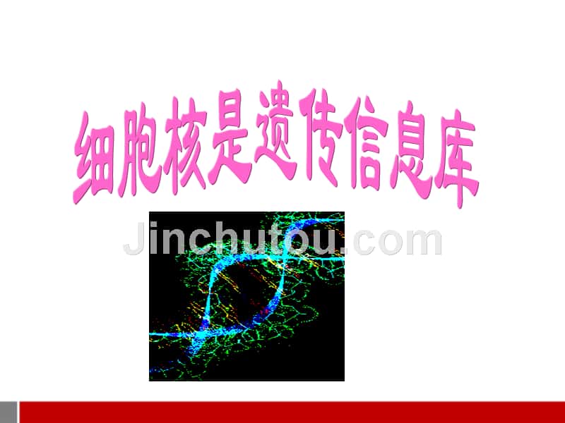 七年级生物上册 细胞核是遗传信息库课件 人教新课标版_第1页
