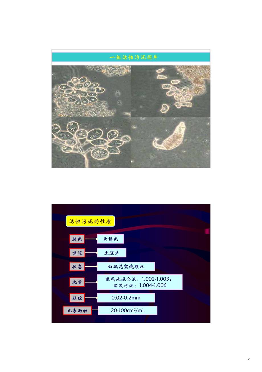 水污染控制工程14-1_第4页