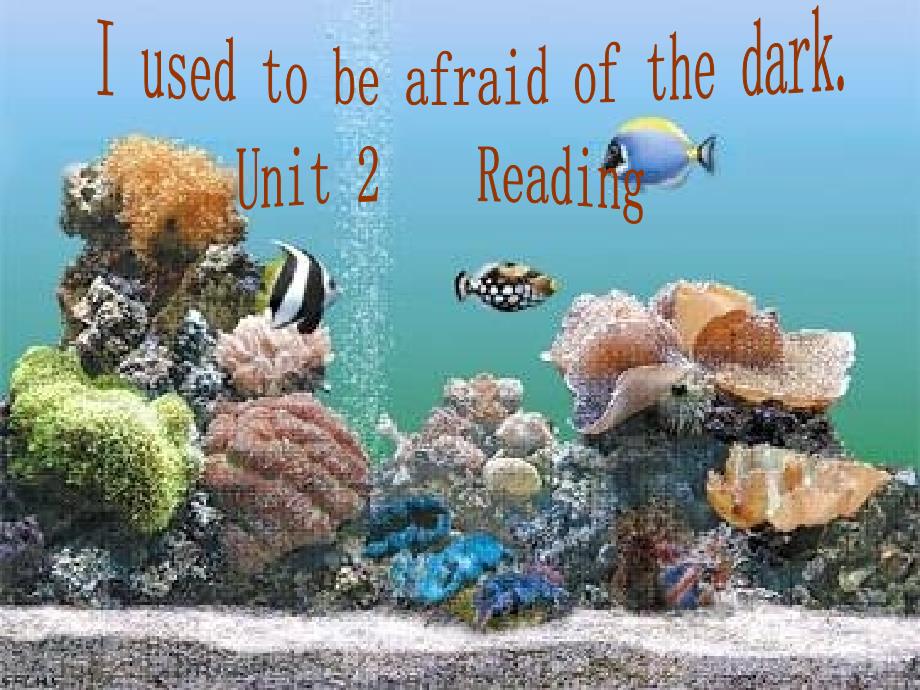 九年级英语 unit 2 i used to be afraid of the dark reading 课件 人教新目标版_第2页