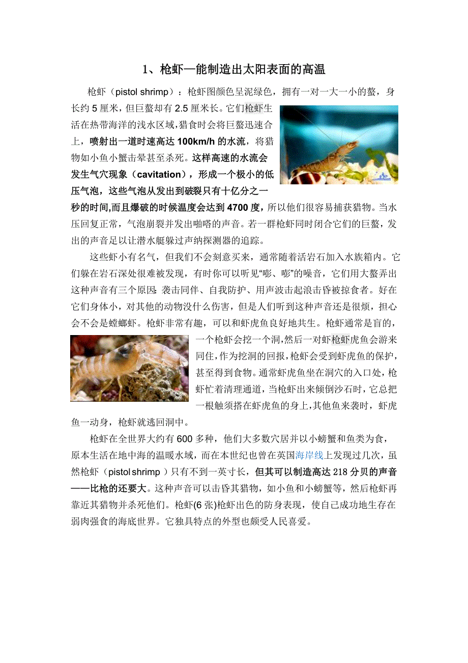 枪虾—能制造出太阳表面的高温_第1页