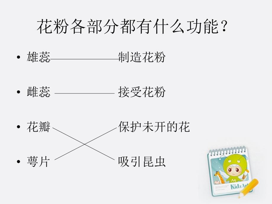 四年级科学上册 花和果实 1课件 青岛版五年制_第4页