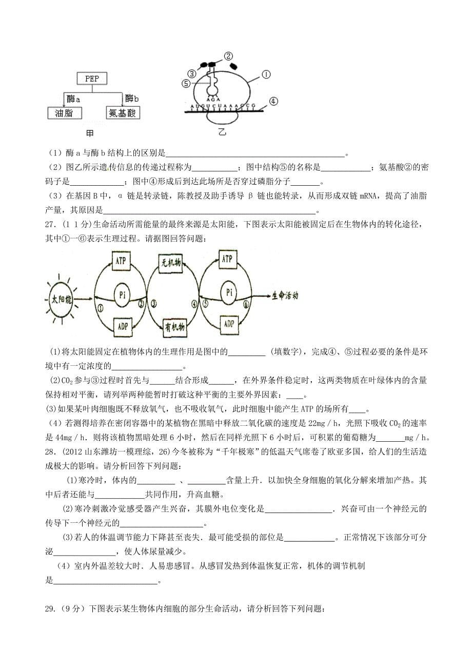 2013届高三上学期生物期末检测zc_第5页