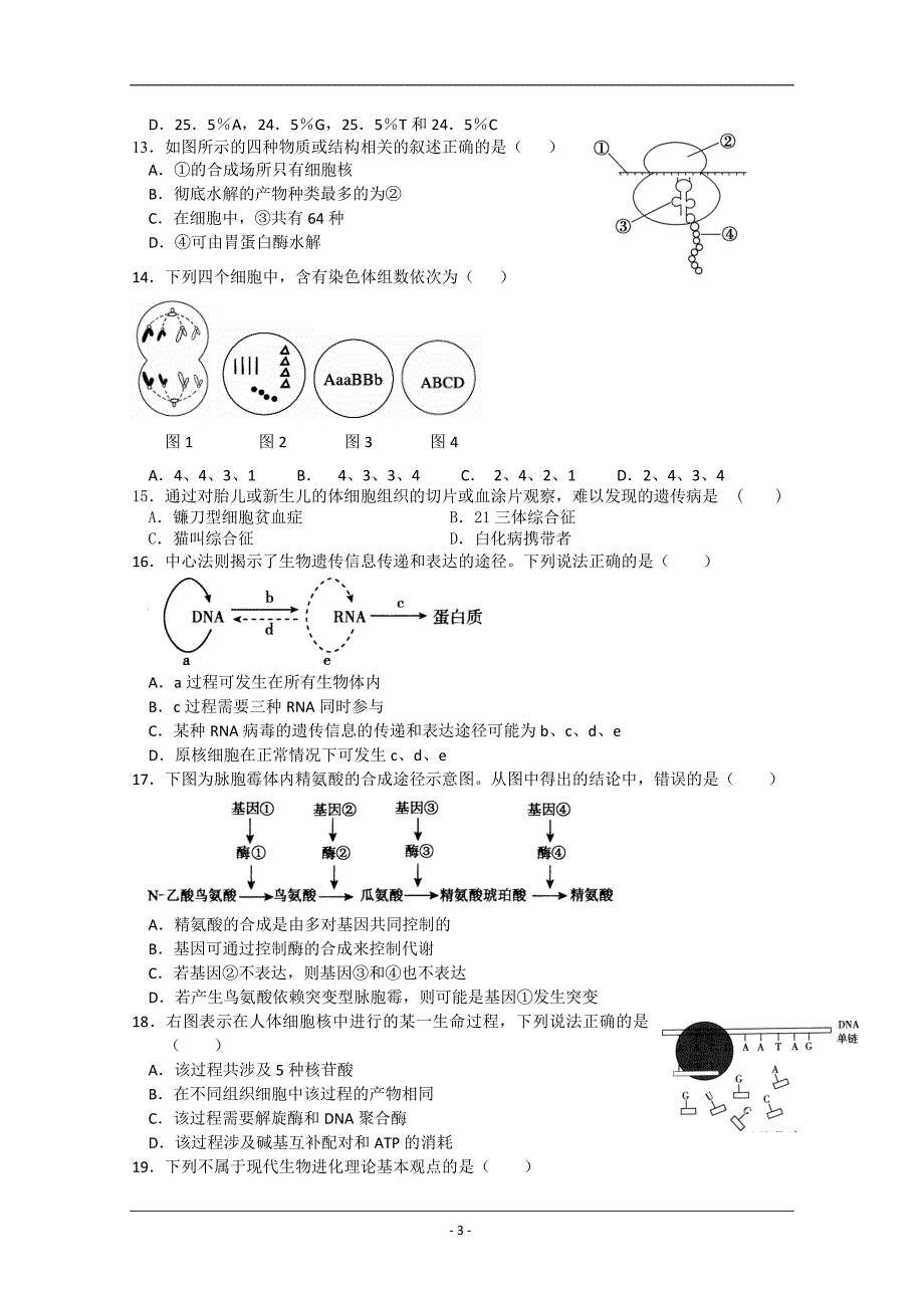 辽宁省11-12学年高三上学期期中考试(生物)_第3页