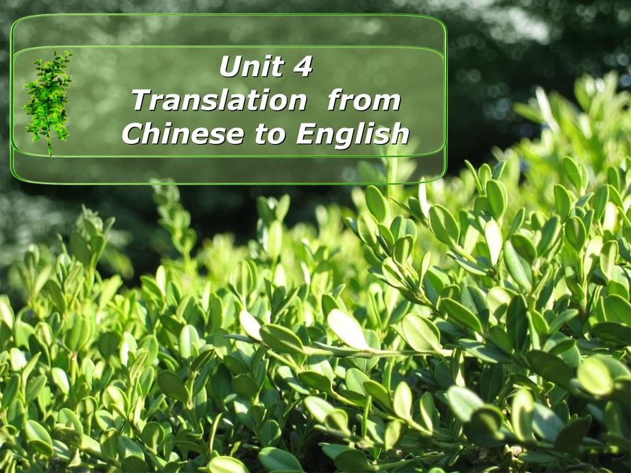 Unit 4 Translation from C to E_第1页