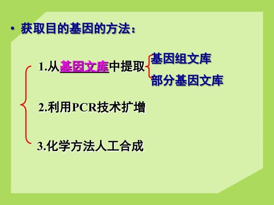 生物选修3基因工程的基本操作程序上课用_第5页