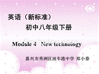 初二英语外研社英语八年级下册Module4