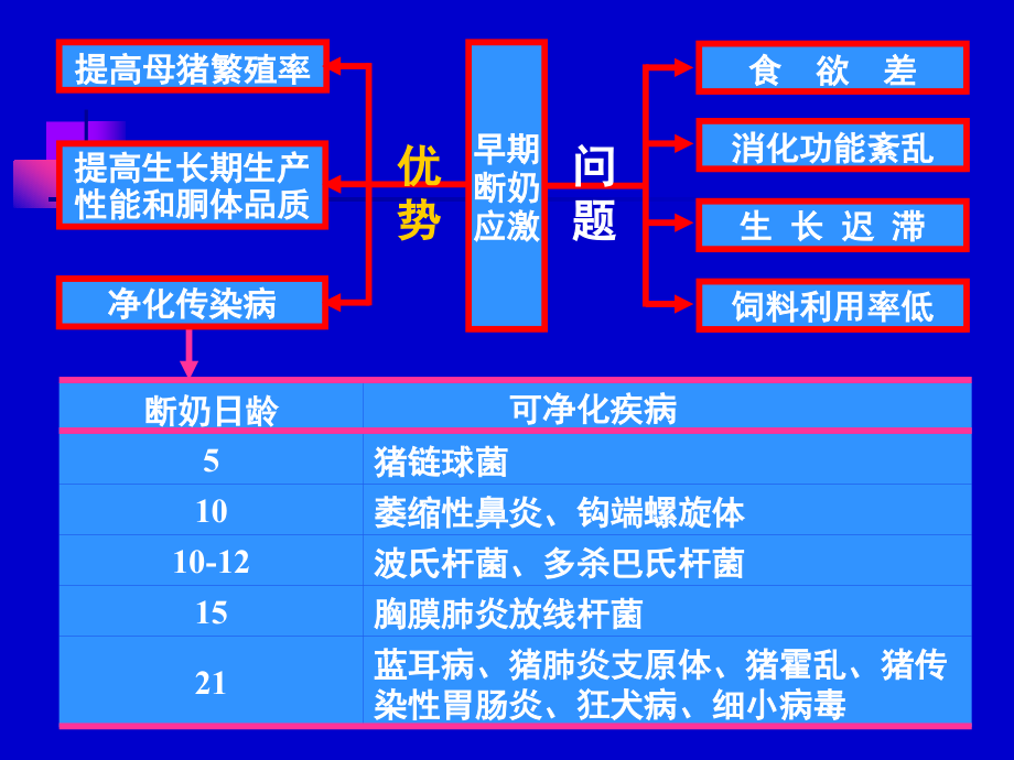 仔猪营养与教槽料配制_第3页