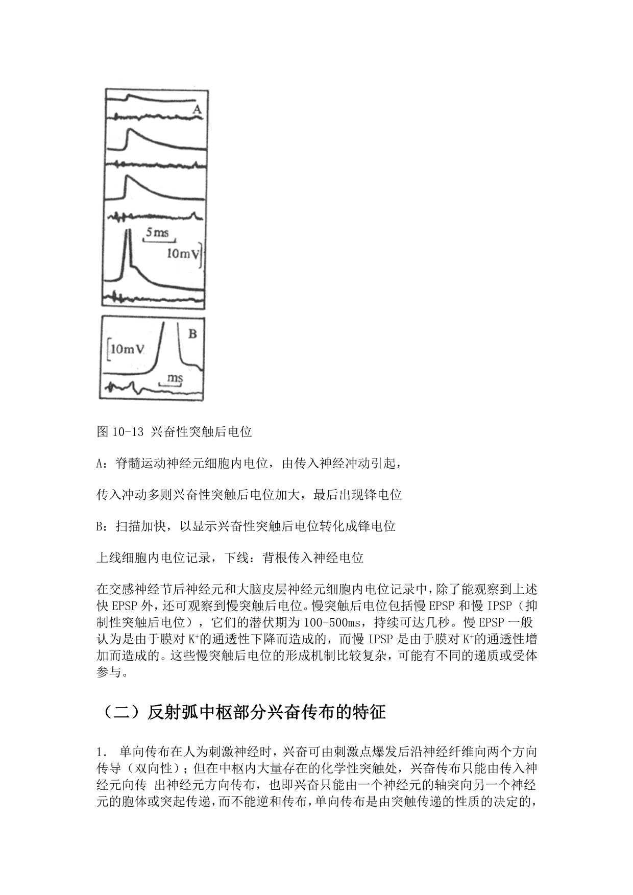 反射活动的一般规律_第5页