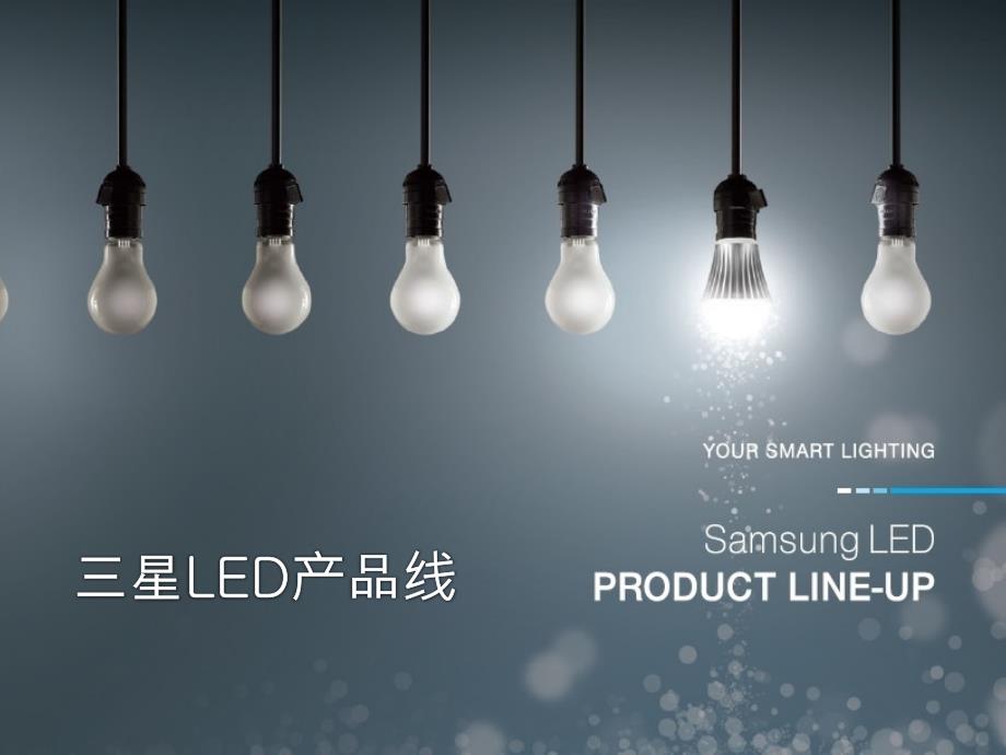 Samsung LED电子图册_第2页