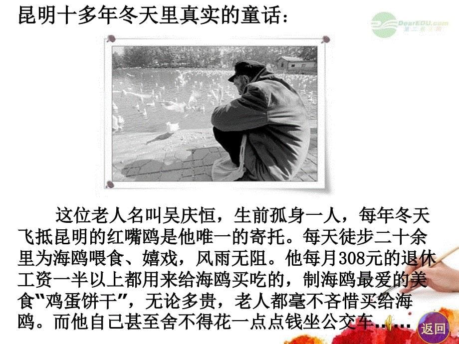 五年级语文上册 老人与海鸥 5课件 北京版_第5页