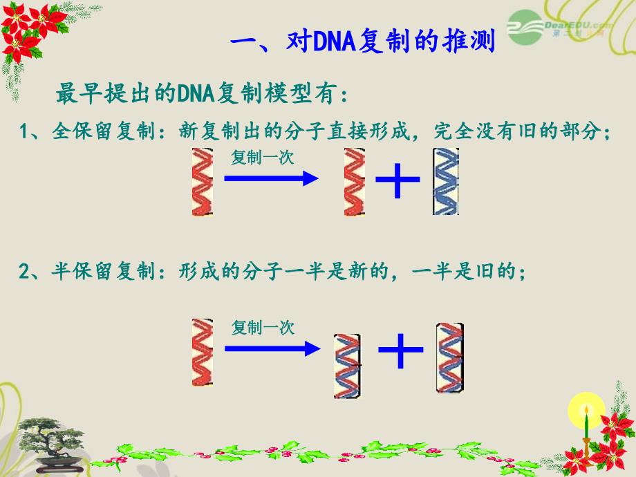 内蒙古海拉尔三中高中生物《3.3DNA分子的复制》课件 新人教版必修2_第3页