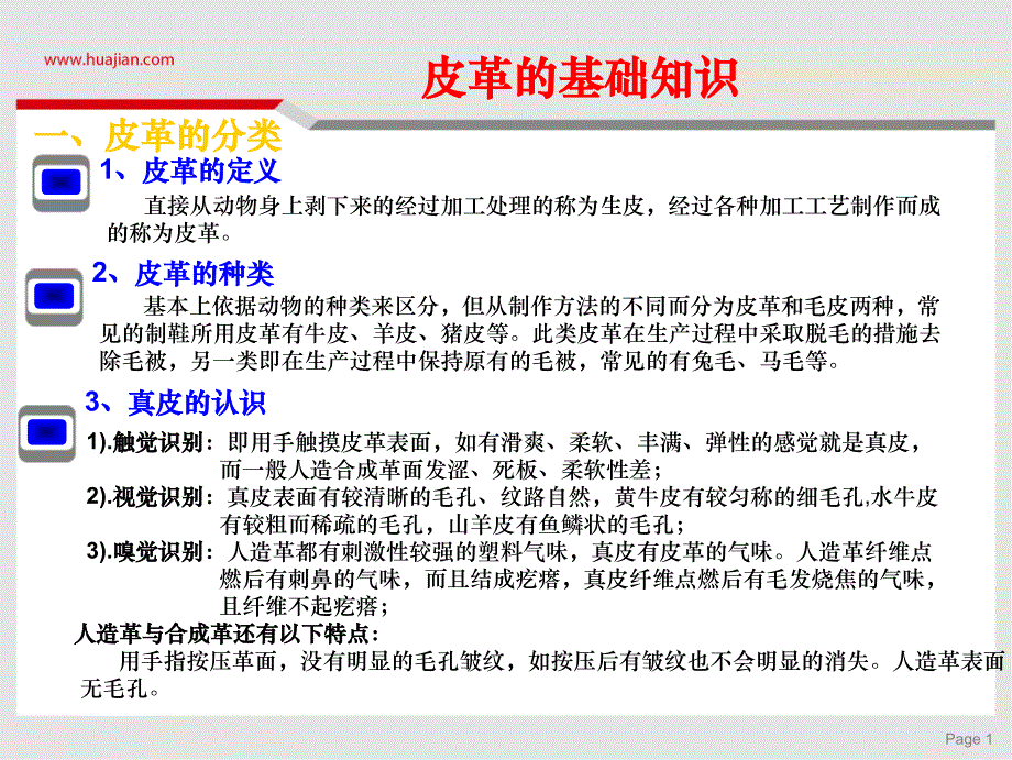 皮料知识培训教程PPT_第2页