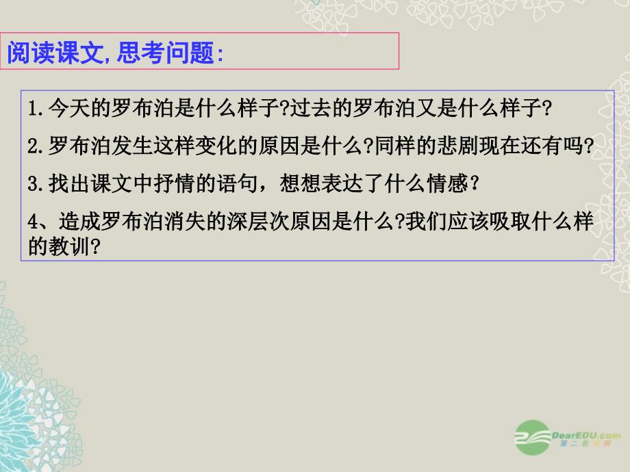 天津市静海县大邱庄镇中学八年级语文《罗布泊，消失的仙湖》课件3 人教新课标版_第4页