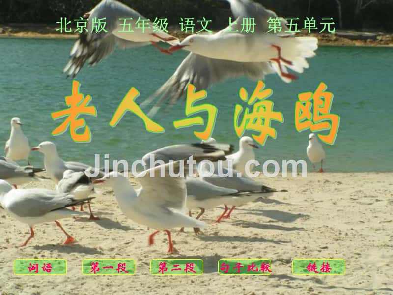 五年级语文上册 老人与海鸥 3课件 北京版_第1页