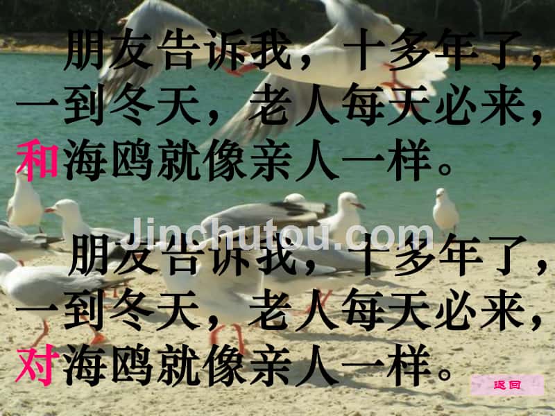 五年级语文上册 老人与海鸥 3课件 北京版_第3页