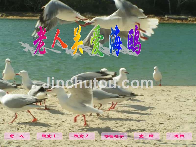 五年级语文上册 老人与海鸥 3课件 北京版_第4页