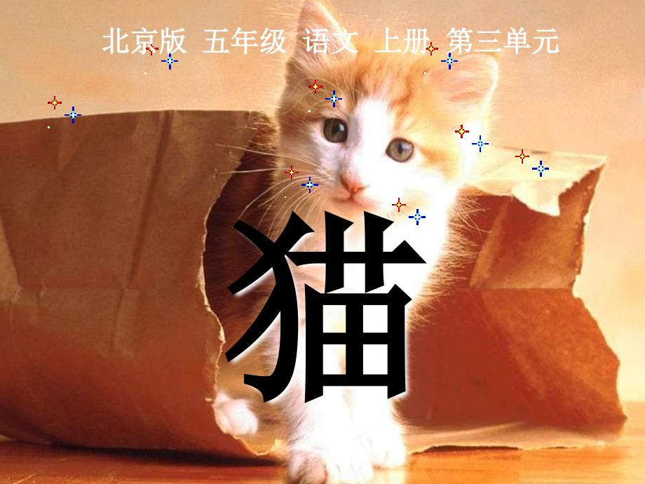 五年级语文上册 猫 2课件 北京版_第1页