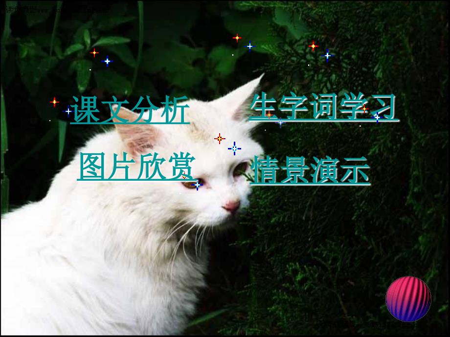 五年级语文上册 猫 2课件 北京版_第2页