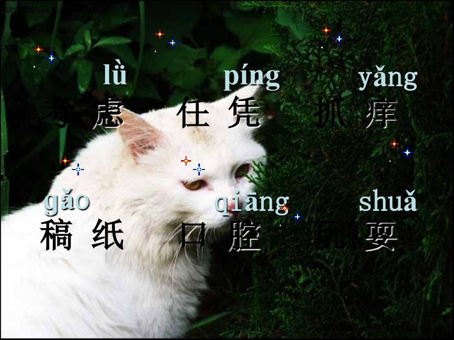 五年级语文上册 猫 2课件 北京版_第3页