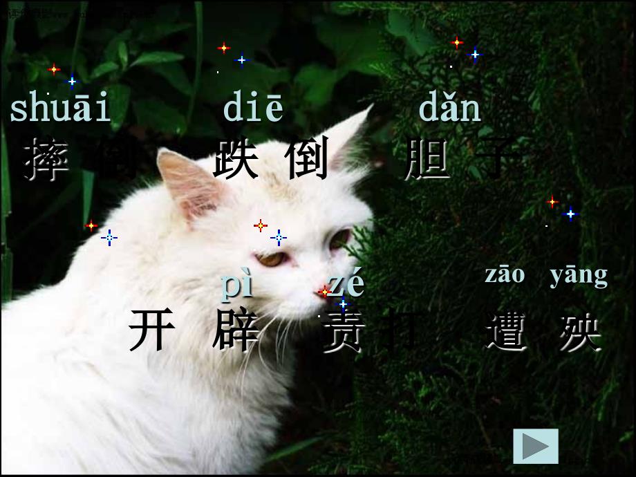 五年级语文上册 猫 2课件 北京版_第4页