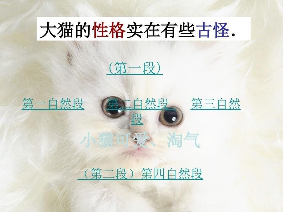 五年级语文上册 猫 2课件 北京版_第5页
