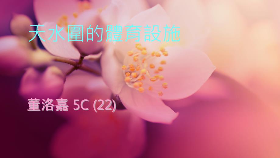 天水围的体育设施_第1页