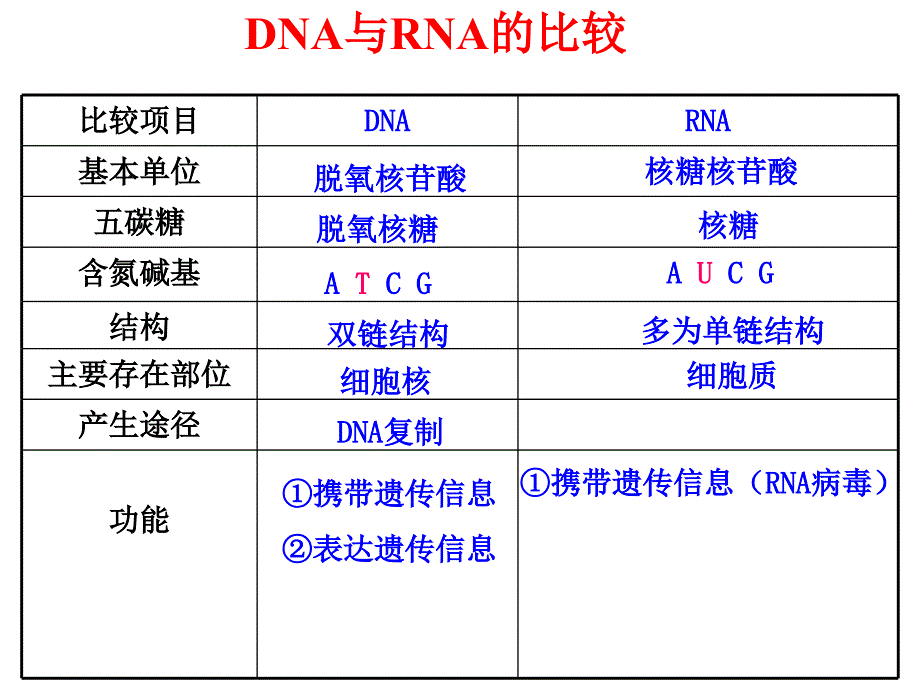 浙科版必修2--遗传信息表达_第2页