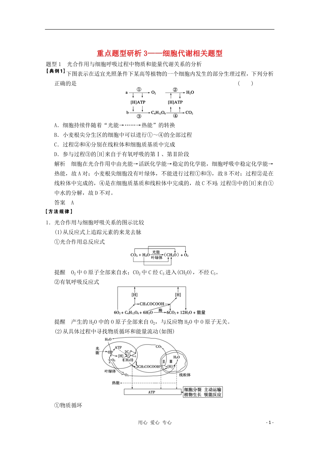 2013高考生物一轮复习 第三单元 考能专项突破教案_第1页