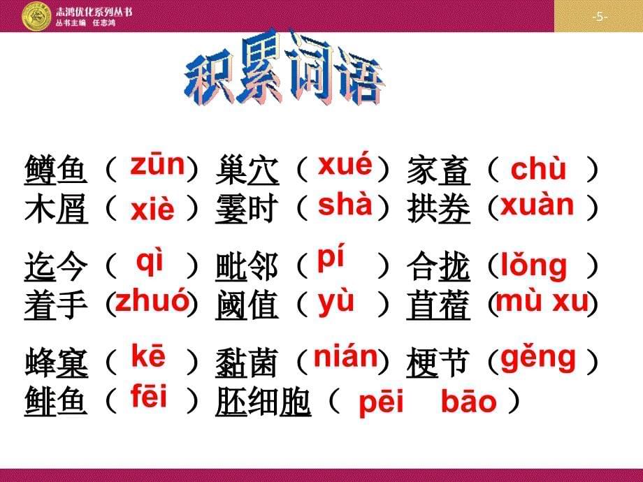 作为生物的社会设计一PPT_第5页