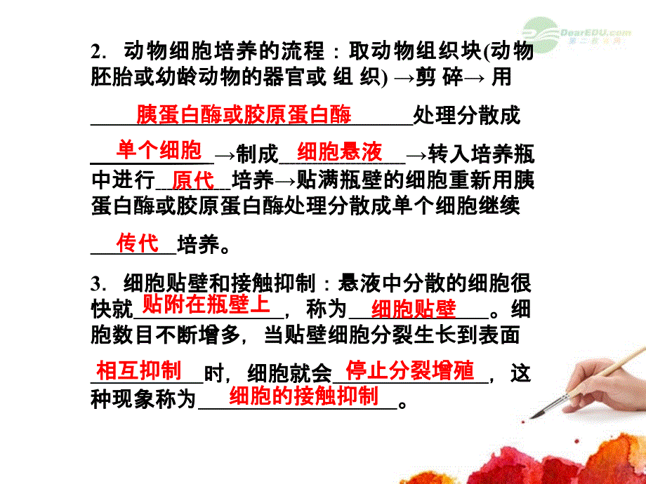 【名师导学】2013高考生物一轮复习 2.76 动物细胞工程课件 新人教版选修3_第3页