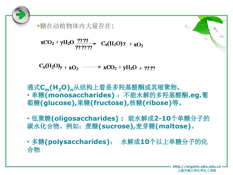 第十五章 糖类_第2页