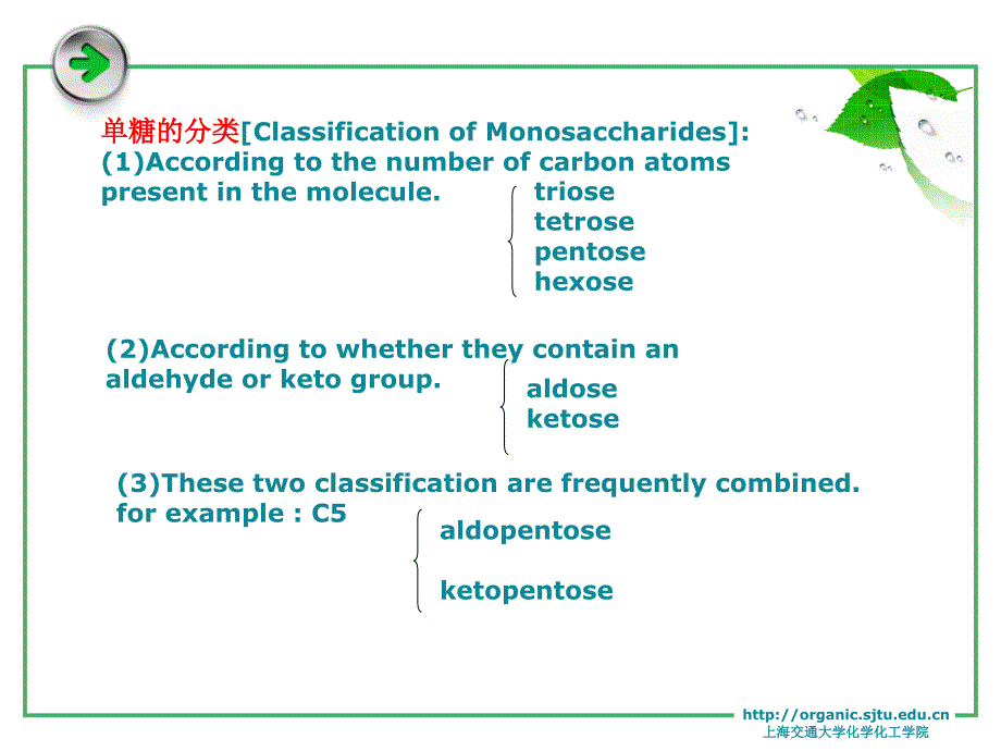 第十五章 糖类_第4页