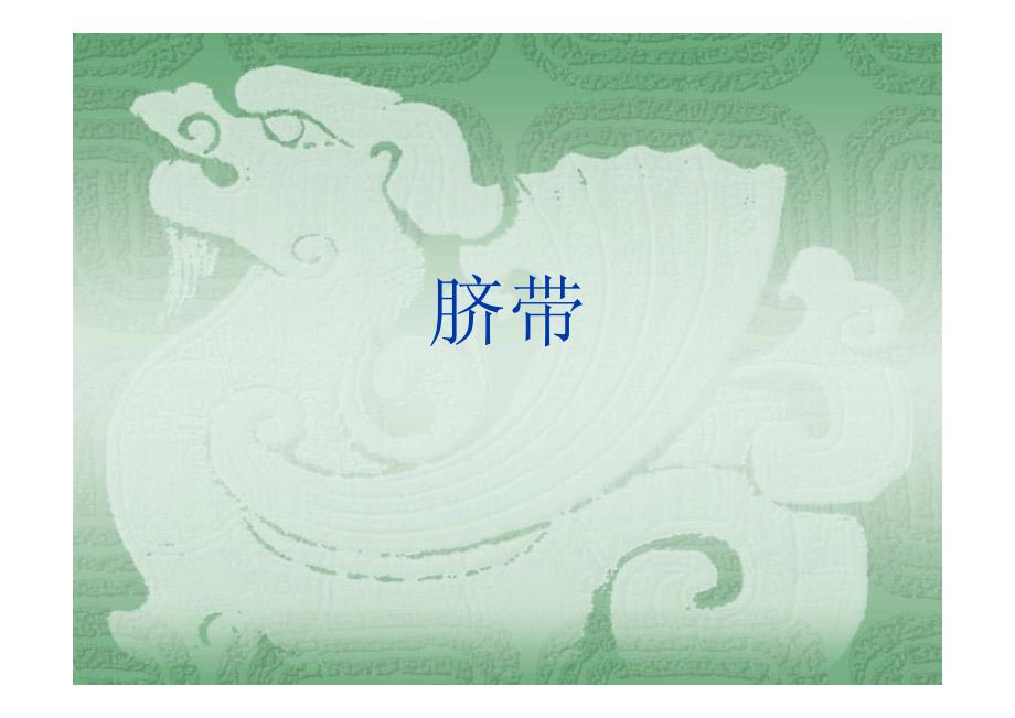 脐带和胎盘_第1页