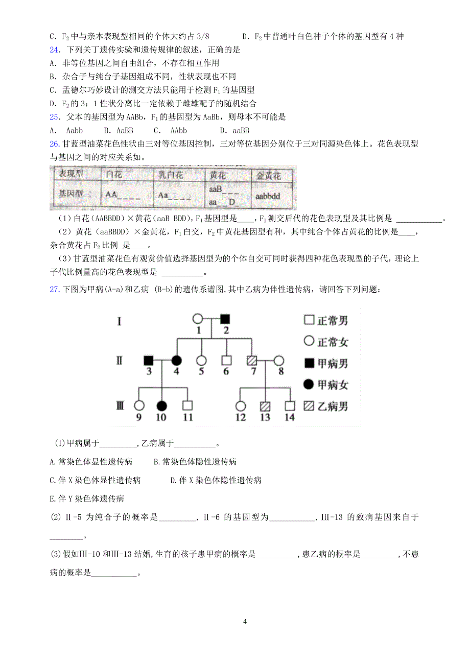 自由组合题2_第4页