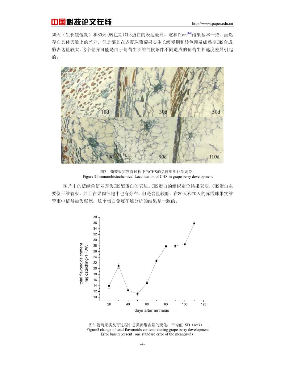 程中 查耳酮合成酶的组织定位以及生长素_第4页