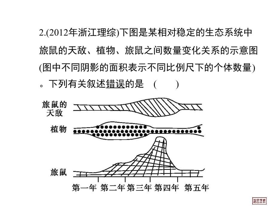 种群的特征和种群的数量变化_第5页