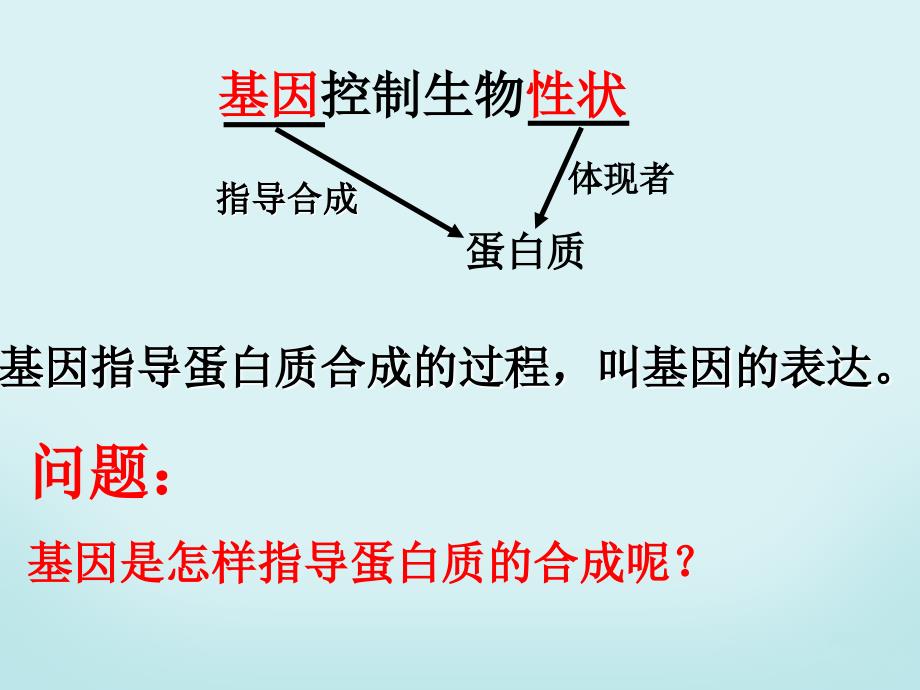 第一节 基因指导蛋白质的合成_第2页