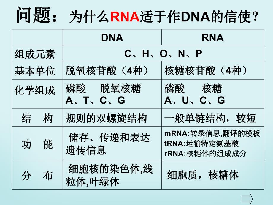 第一节 基因指导蛋白质的合成_第4页