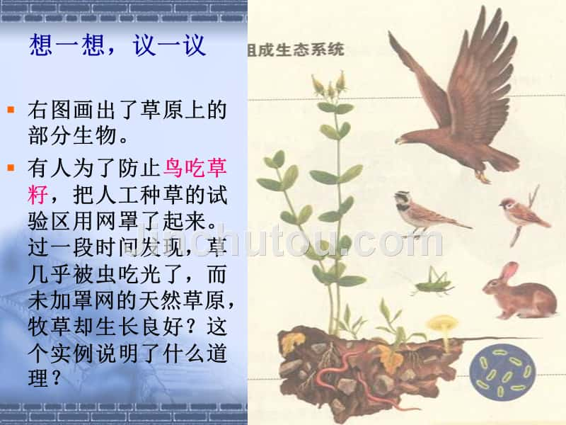 第一单元-第二章-第二节-生物与环境组成生态系统4_第2页