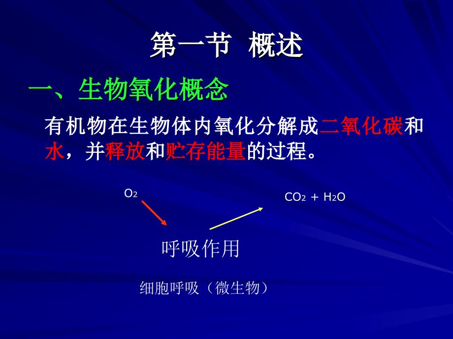 第五章  生物氧化_第2页