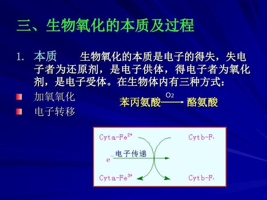 第五章  生物氧化_第5页