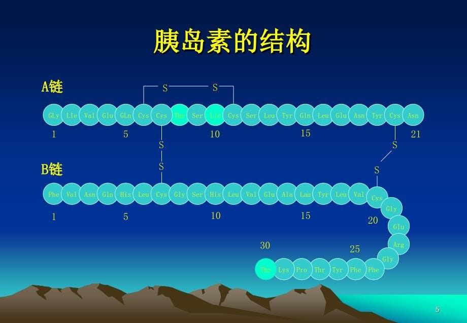 糖尿病的胰岛素治疗(湘雅医院) 医学课件_第5页