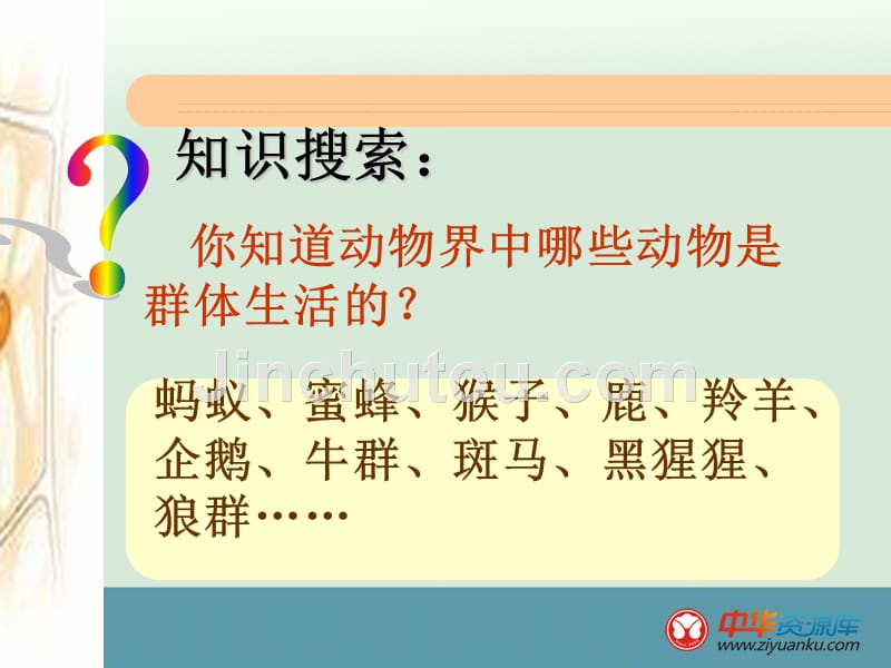 青海省第二分校八年级下册生物第三节课件《社会行为》_第4页