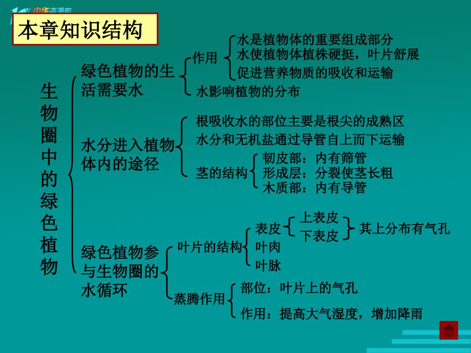 四川省江油市明镜中学九年级生物《第三章 绿色植物与生物圈的水循环》专题复习课件 _第2页